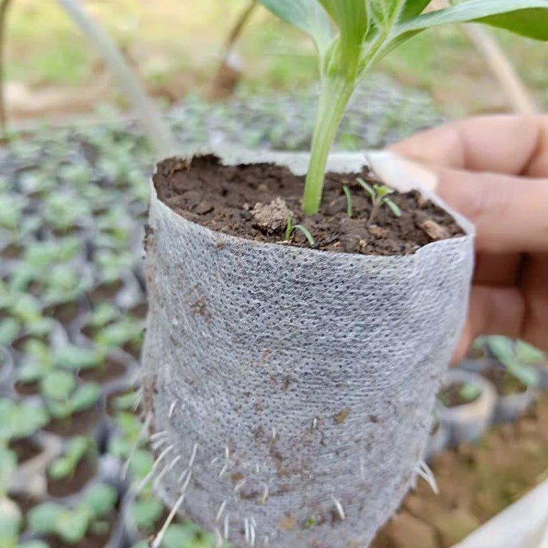 100pcs Biodegradable Nursery Bag Non-woven Fabric Plant Seeding Grow Bags Garden Seedling Growing Planter Sow Flower Pots